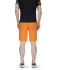 Шорти Mammut Aenergy Light So Shorts SS2024